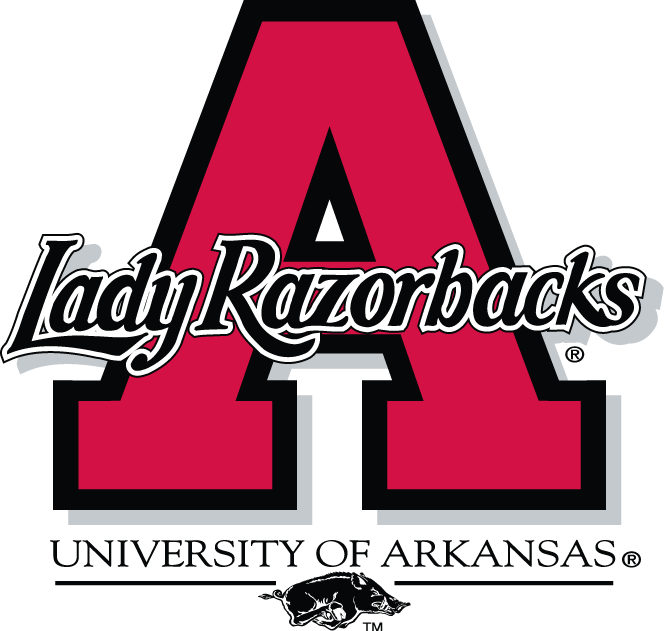 Arkansas Razorbacks 1998-2000 Alternate Logo diy DTF decal sticker